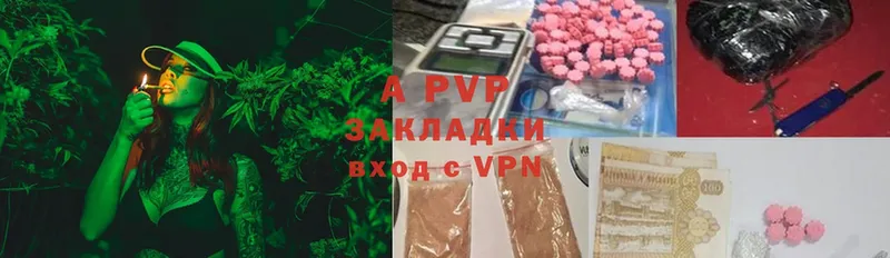 A PVP СК  Ельня 